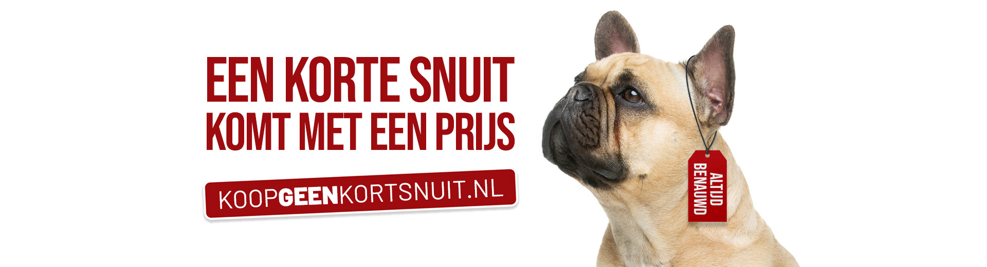 Dierenartsen en waarschuwen Koop geen kortsnuitige hond. Dierenarts.nl